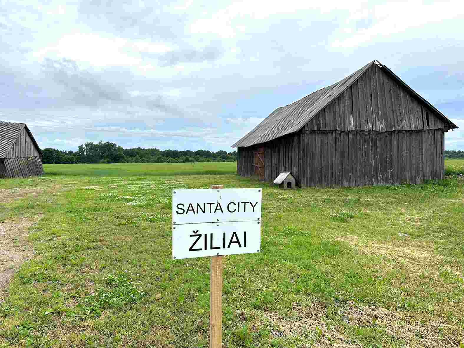 Žiliai