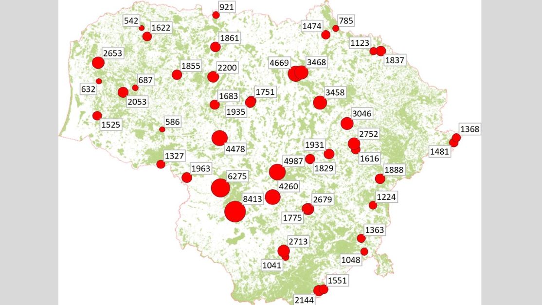 žievėgraužio tipografo vabalų skaičius