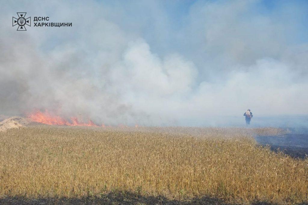 deginami Ukrainos pasėliai