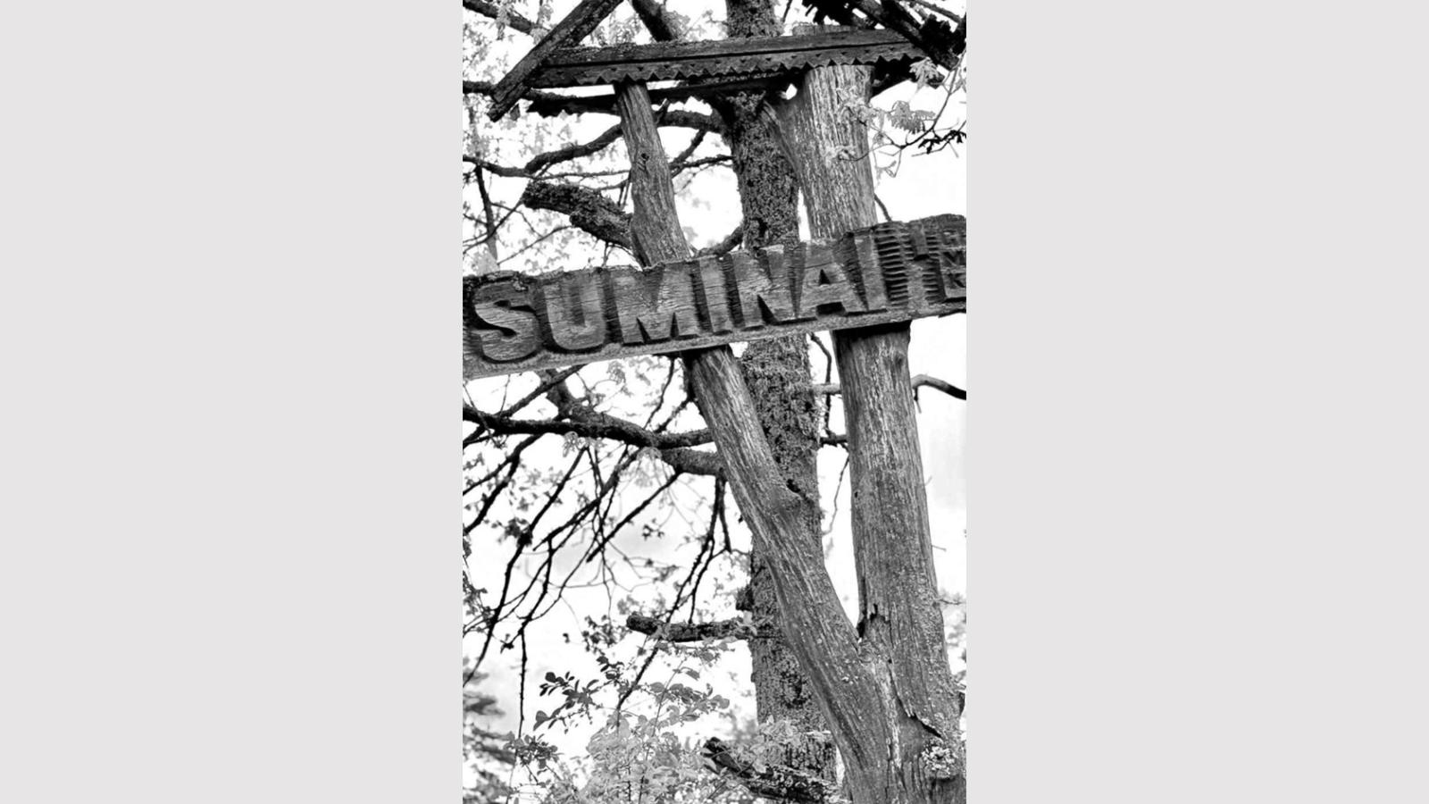 dumine pirkia