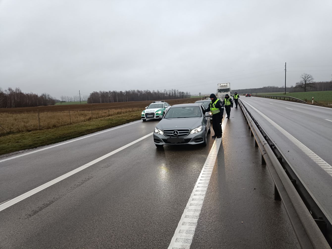 polivijos patikra