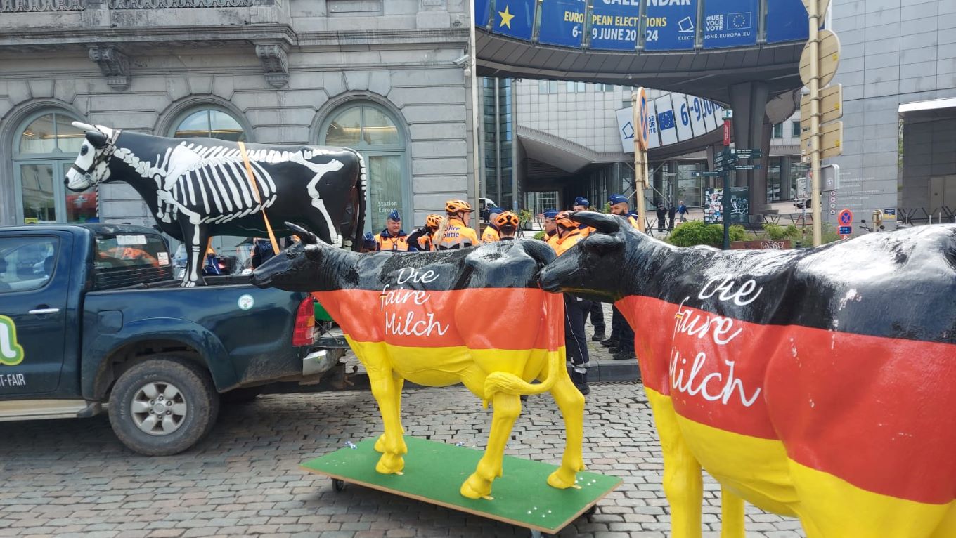 pieno gamintojų protesto akcija Briuselyje