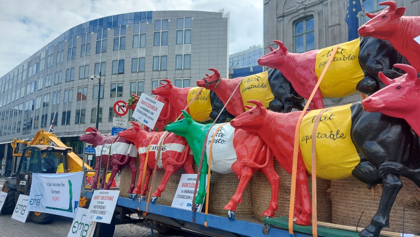 pieno gamintojų protesto akcija Briuselyje