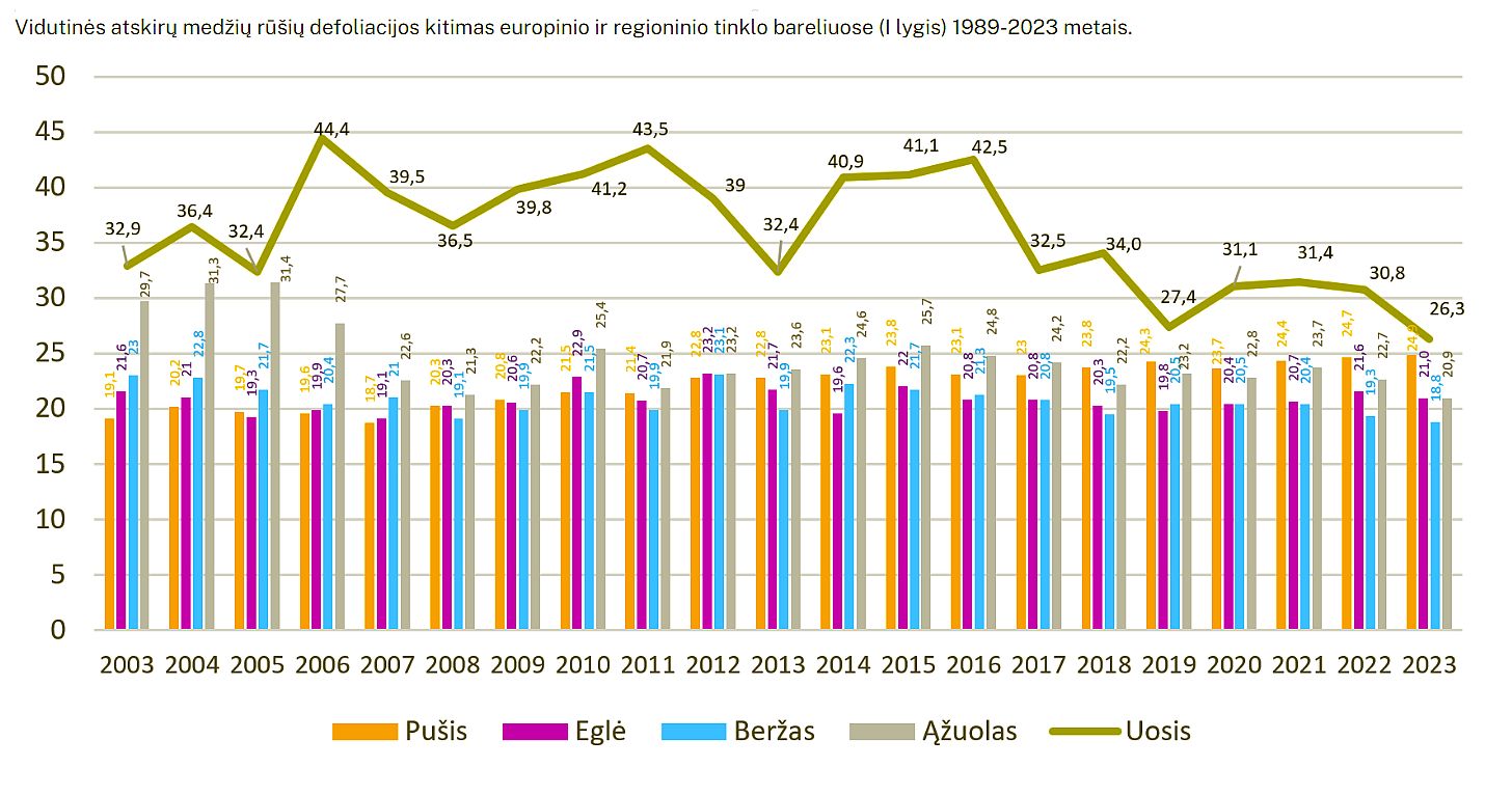 spygliuočių defoliacija