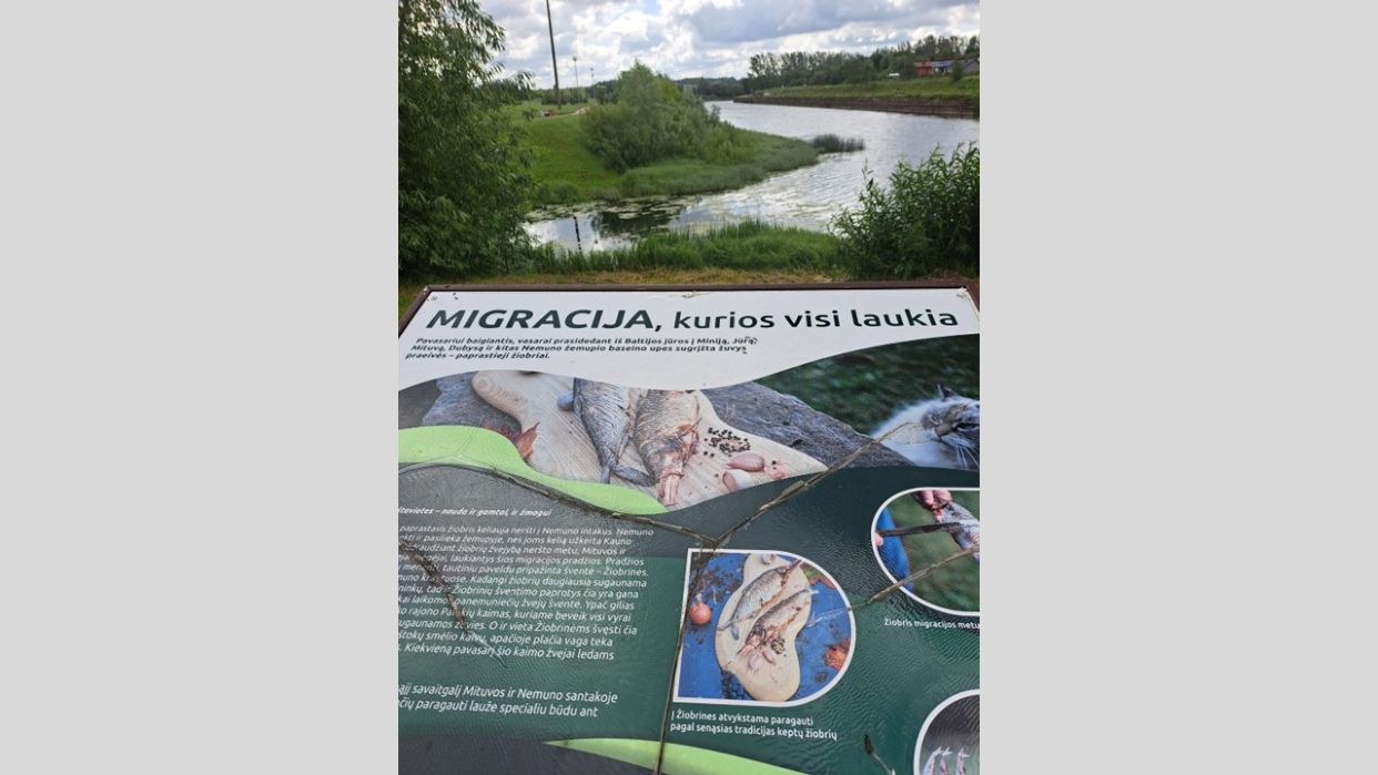 Jurbarko apžvalgos bokštas