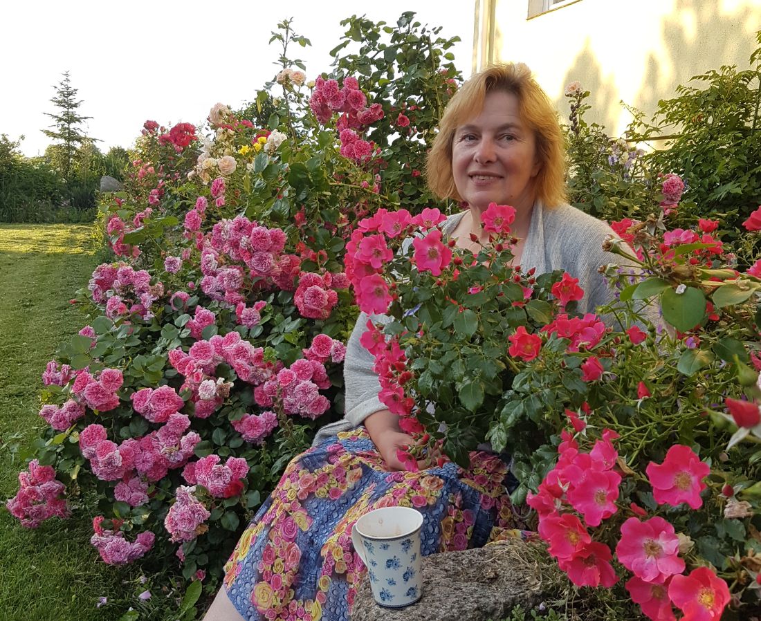 Milda Mikelionienė, krūminės rožės