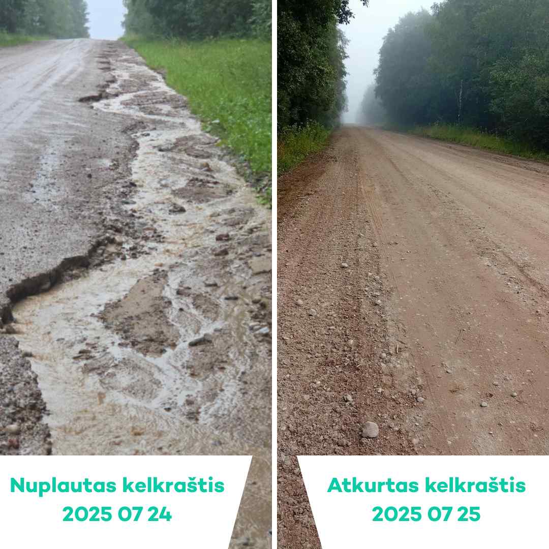 nuplautas kelio kelkrastis
