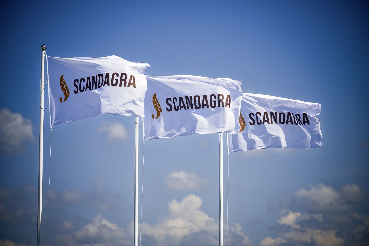 Scandagra