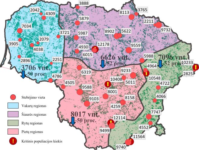 žievėgraužio tipografo paplitimas