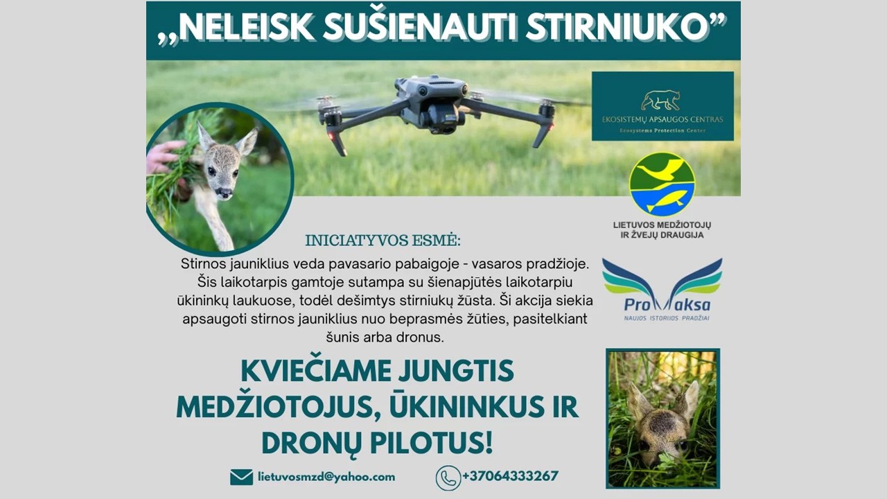 neleisk sušienauti stirniuko