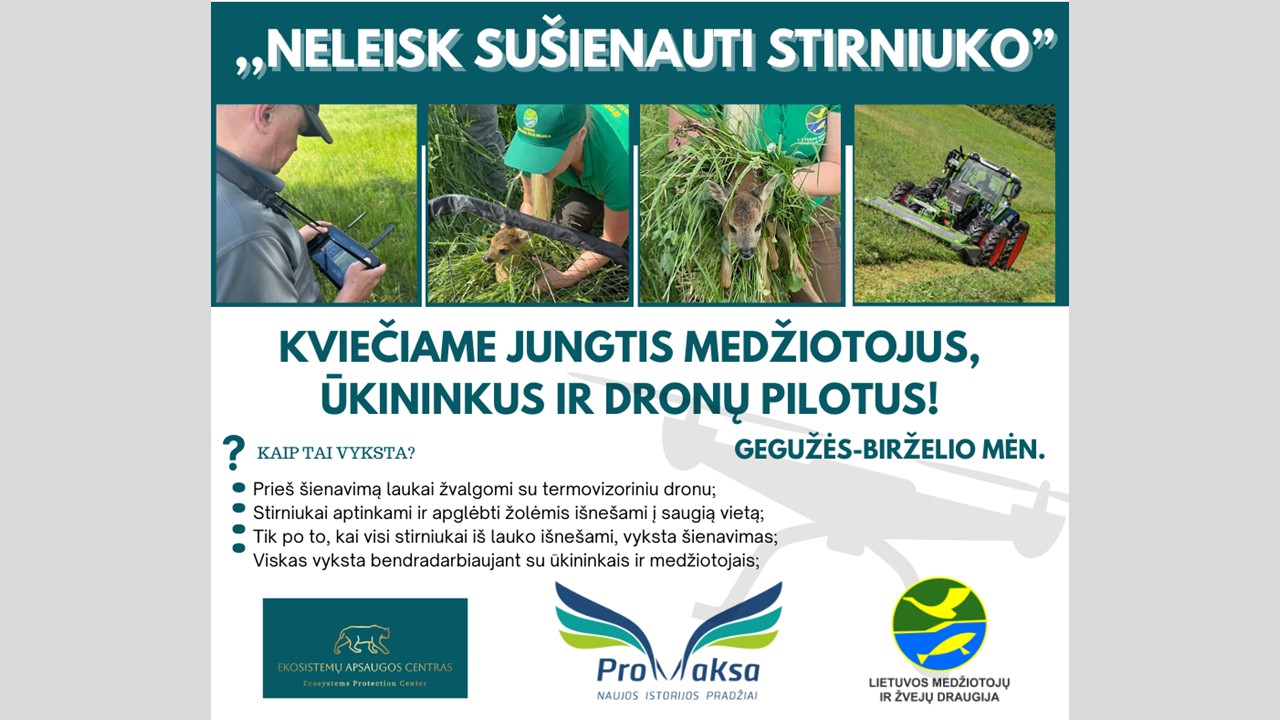 Neleisk sušienauti stirniuko