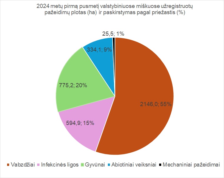 apie miskus