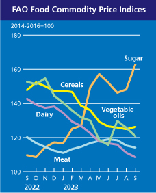 maisto kainų indeksas
