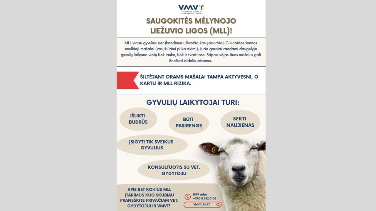 kaip saugotis MLL