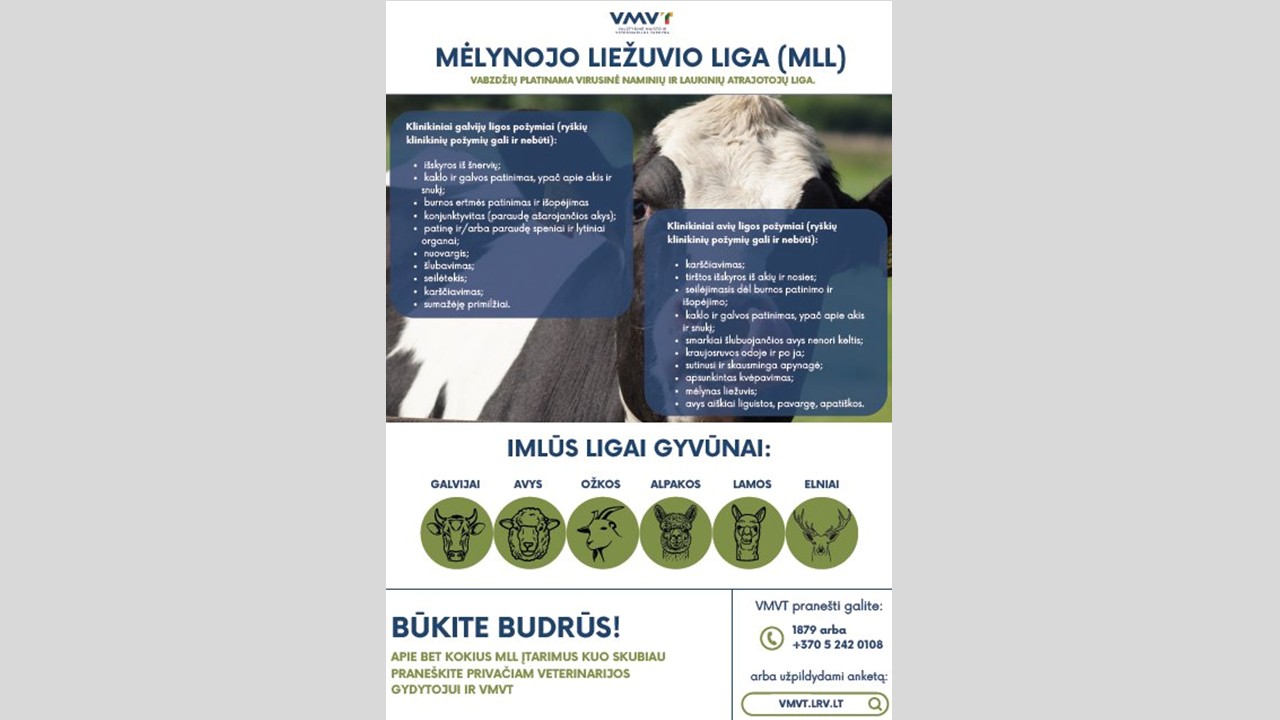 kaip saugotis MLL