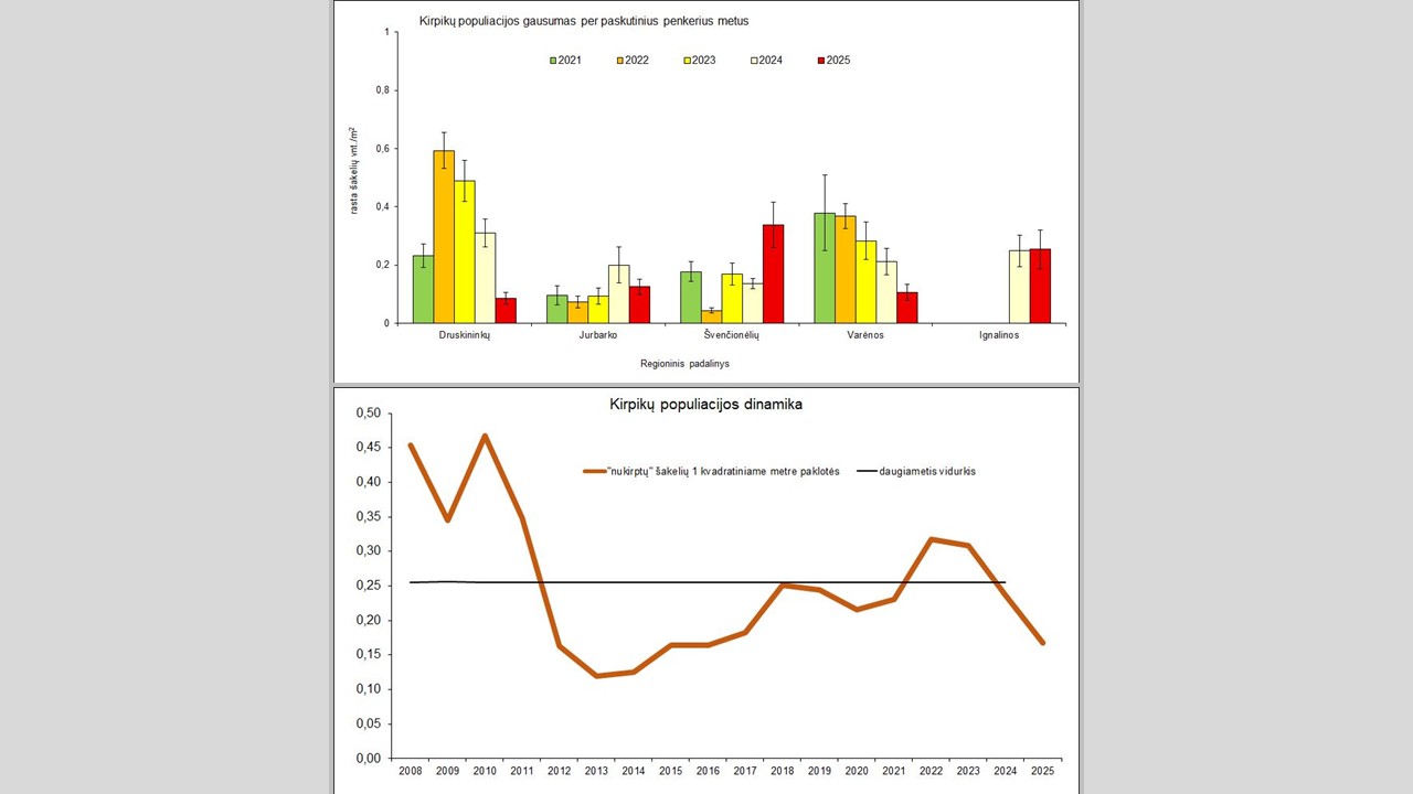 pušinių kirpikų monitoringas