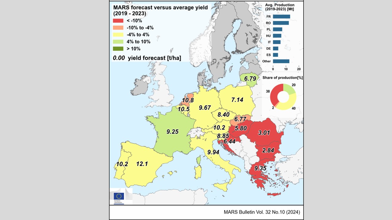 Kukurūzų derliaus Europoje prognozė