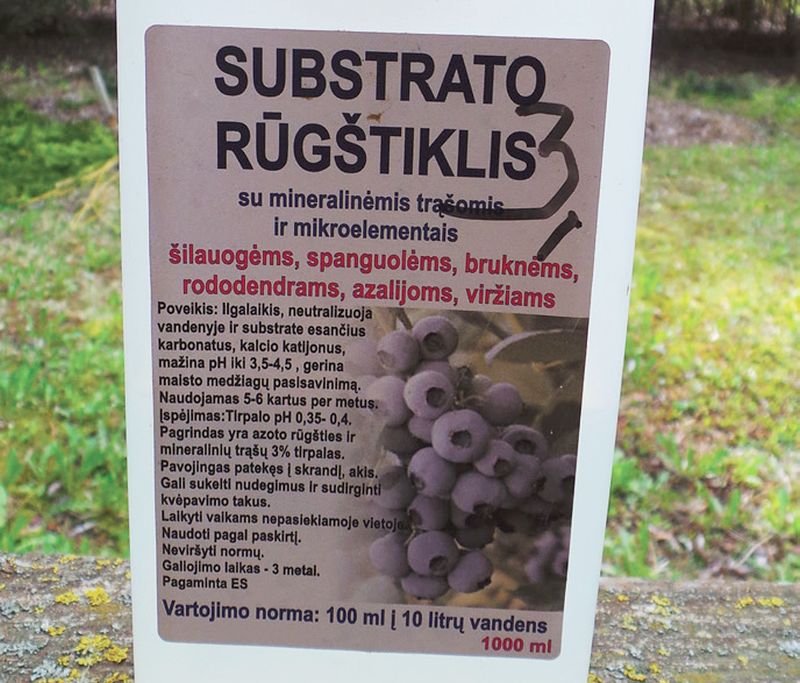 šilauogės, rūgštintas vanduo