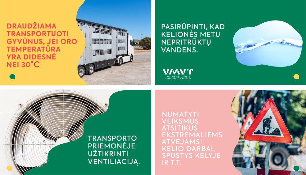 gyvunu pervezimas vasara