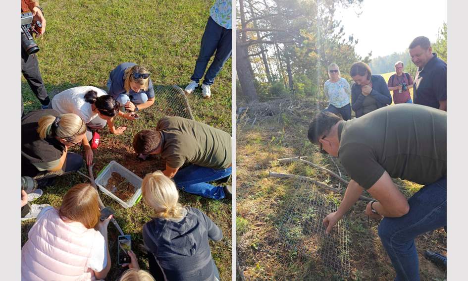 vezliukai zoologijos sode