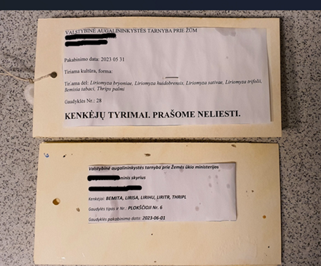 gaudykliu lapeliai