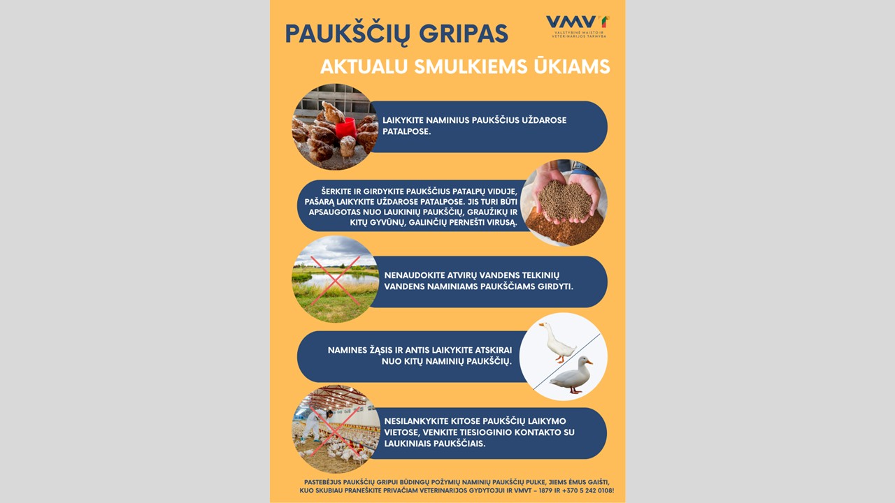 paukščių gripas