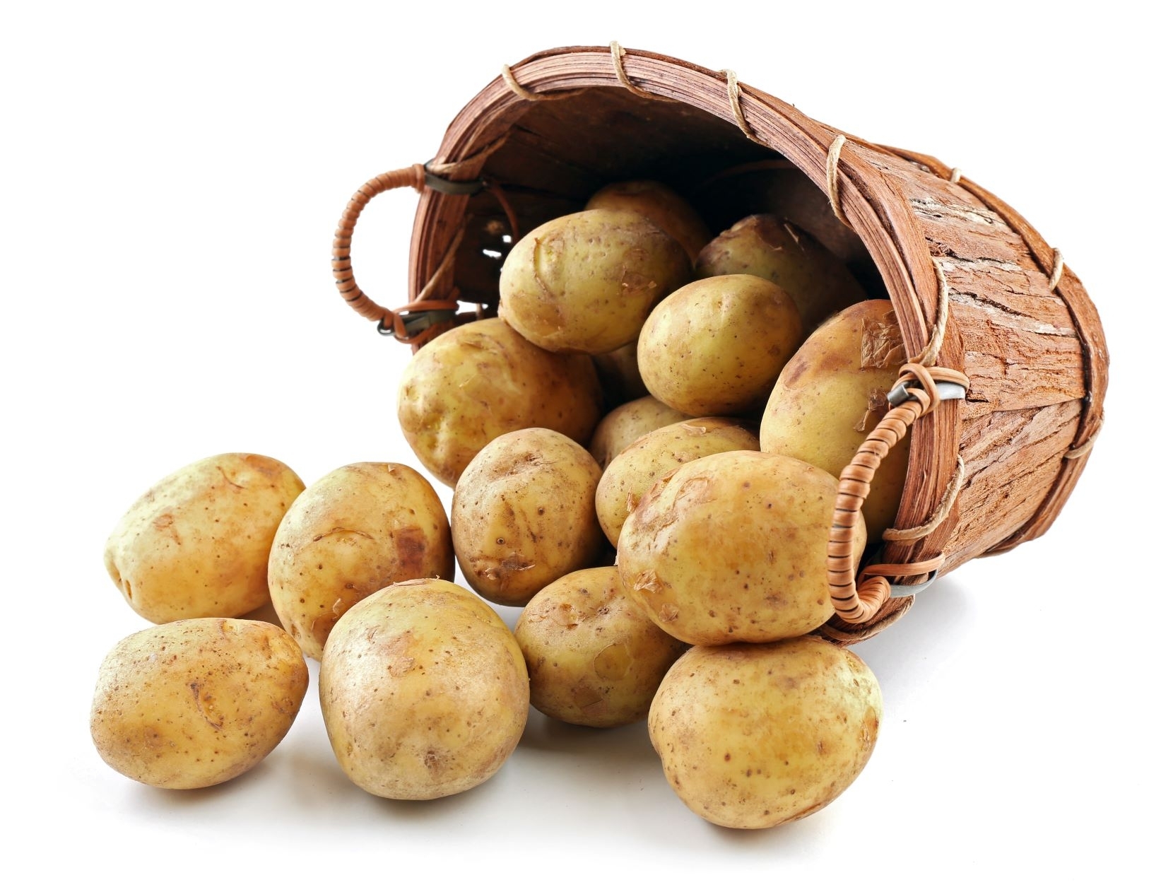 Karantininių bulvių kenkėjų padeda išvengti fitosanitarinė kontrolė