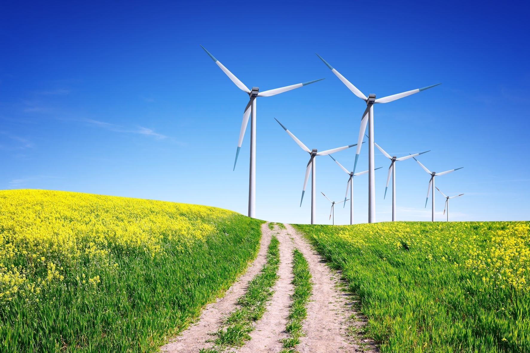 Akmenės vėjo parkų „Windfarm Akmenė“ vystytojai planuoja plėtrą
