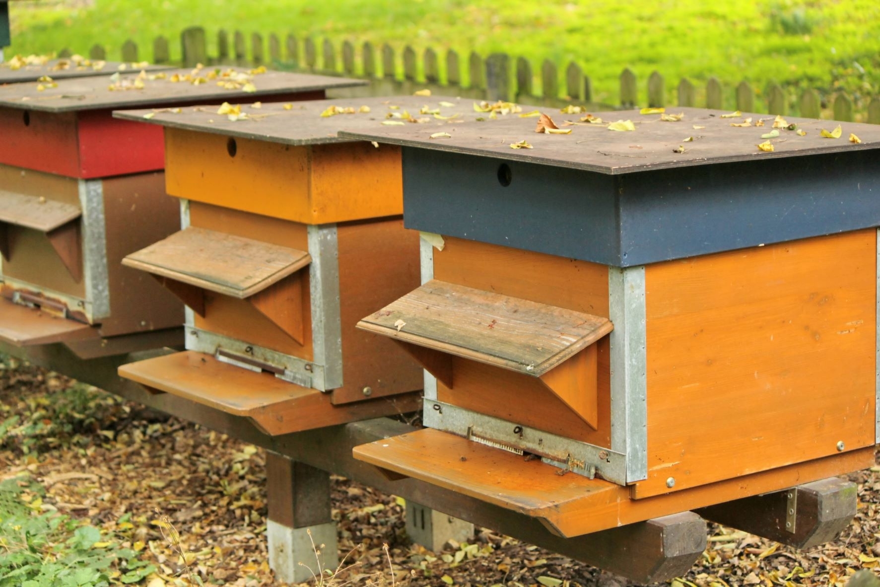 Ar būtina registruoti bityną?