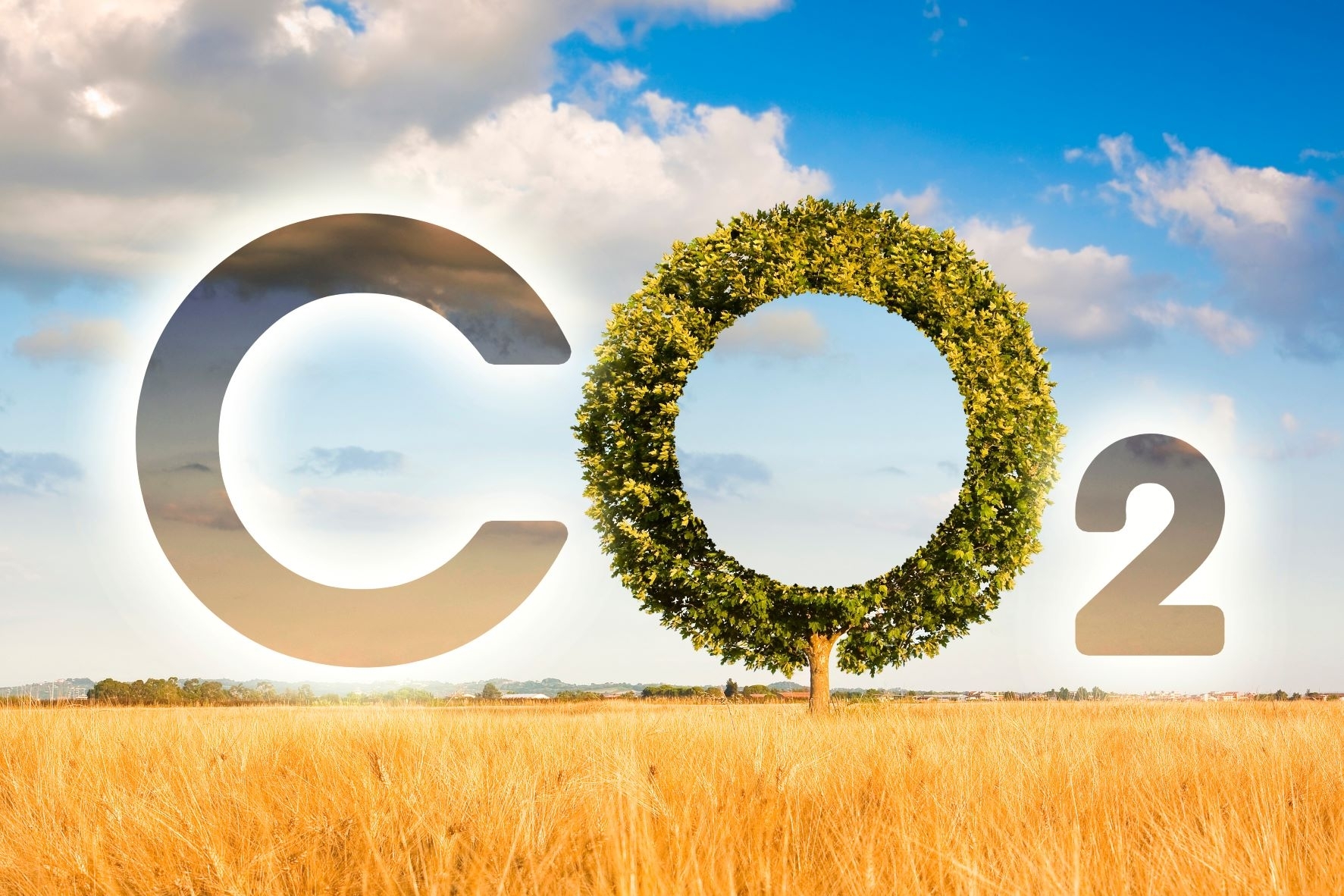 Seimo komitetas siūlo nuo 2025-ųjų taikyti CO2 dedamąją biodegalams