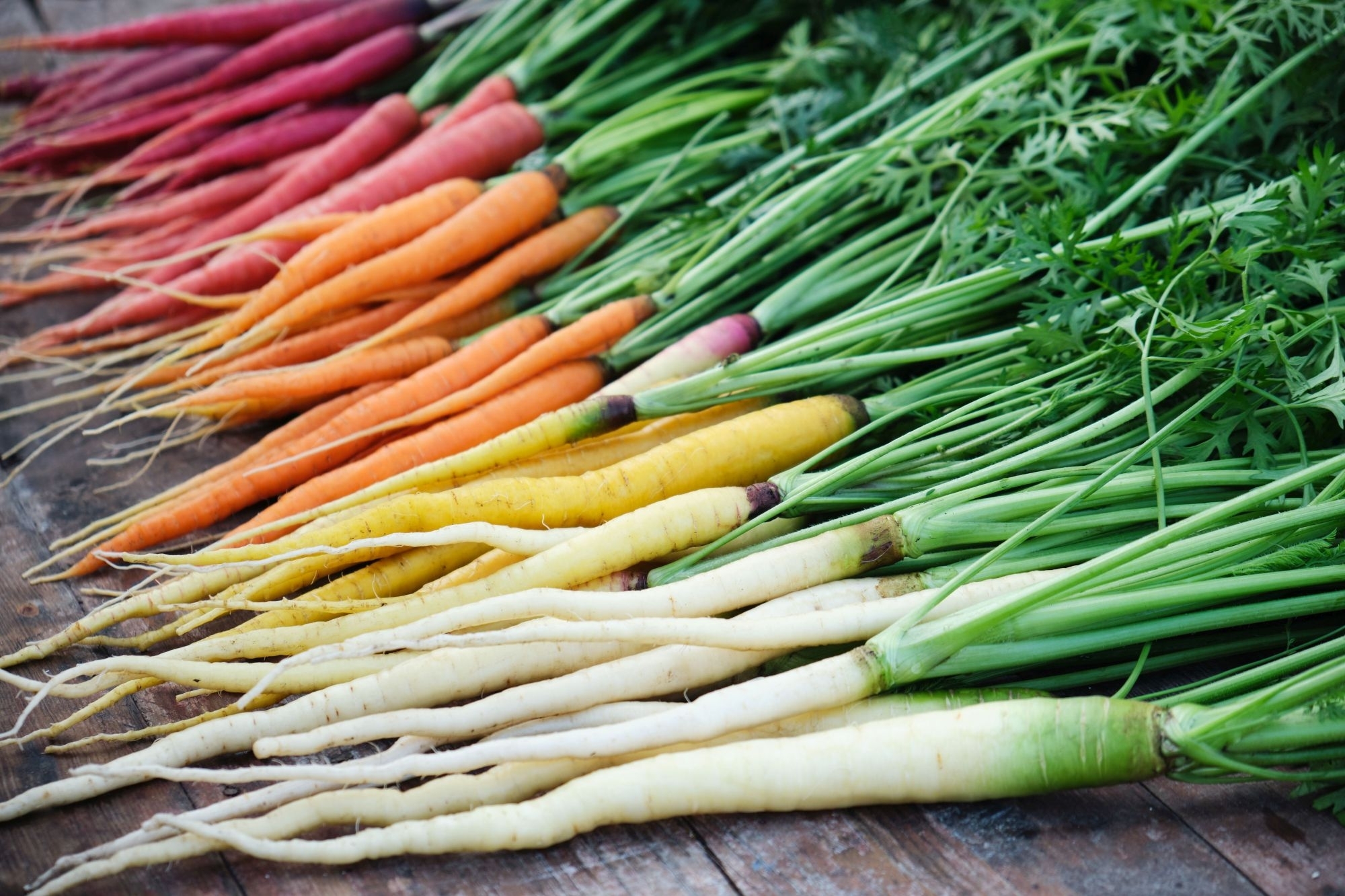 Ar žinote, kokios spalvos morkos labiau tiktų jums?