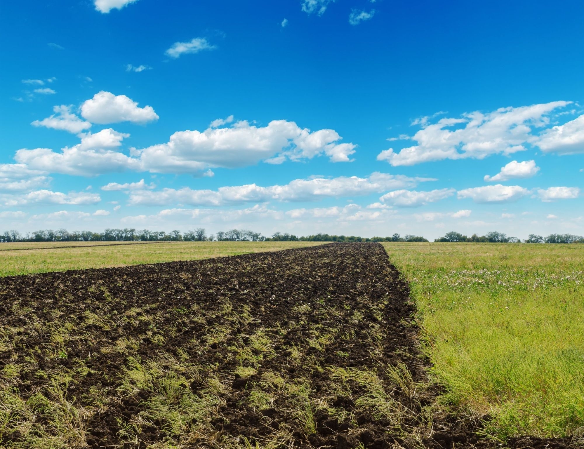 Žemės ūkio naudmenų deklaravimas valstybinėje žemėje: ką būtina žinoti