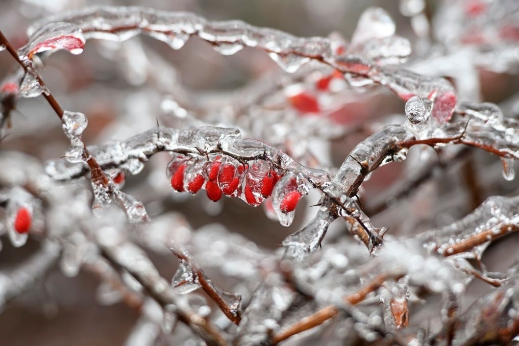 Parengtas naujas leidinys „Ekstremalūs hidrometeorologiniai reiškiniai“