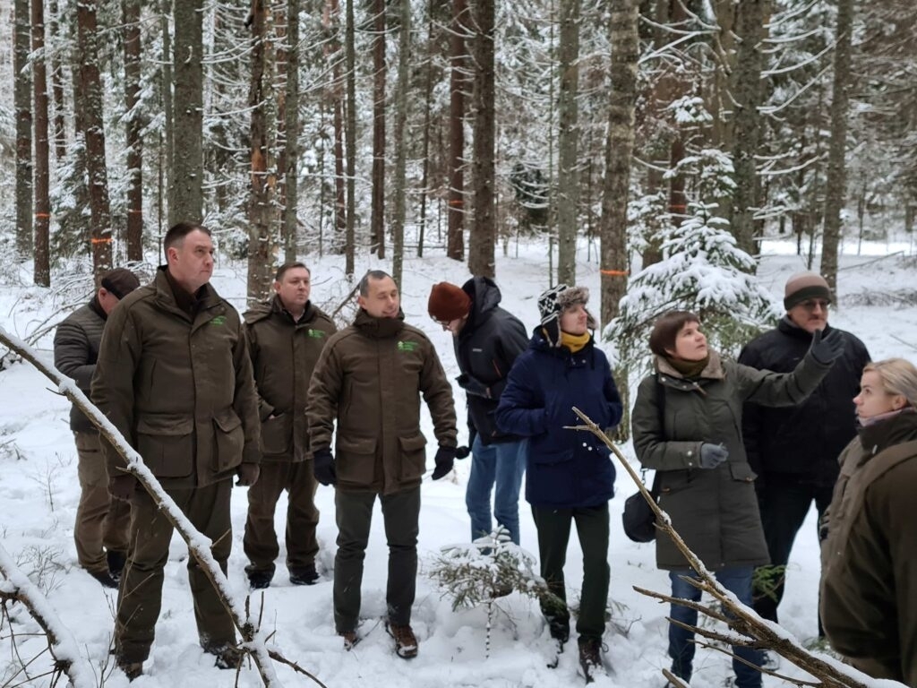 Susitikimas miške: VMU parodė kenkėjų pažeistas teritorijas