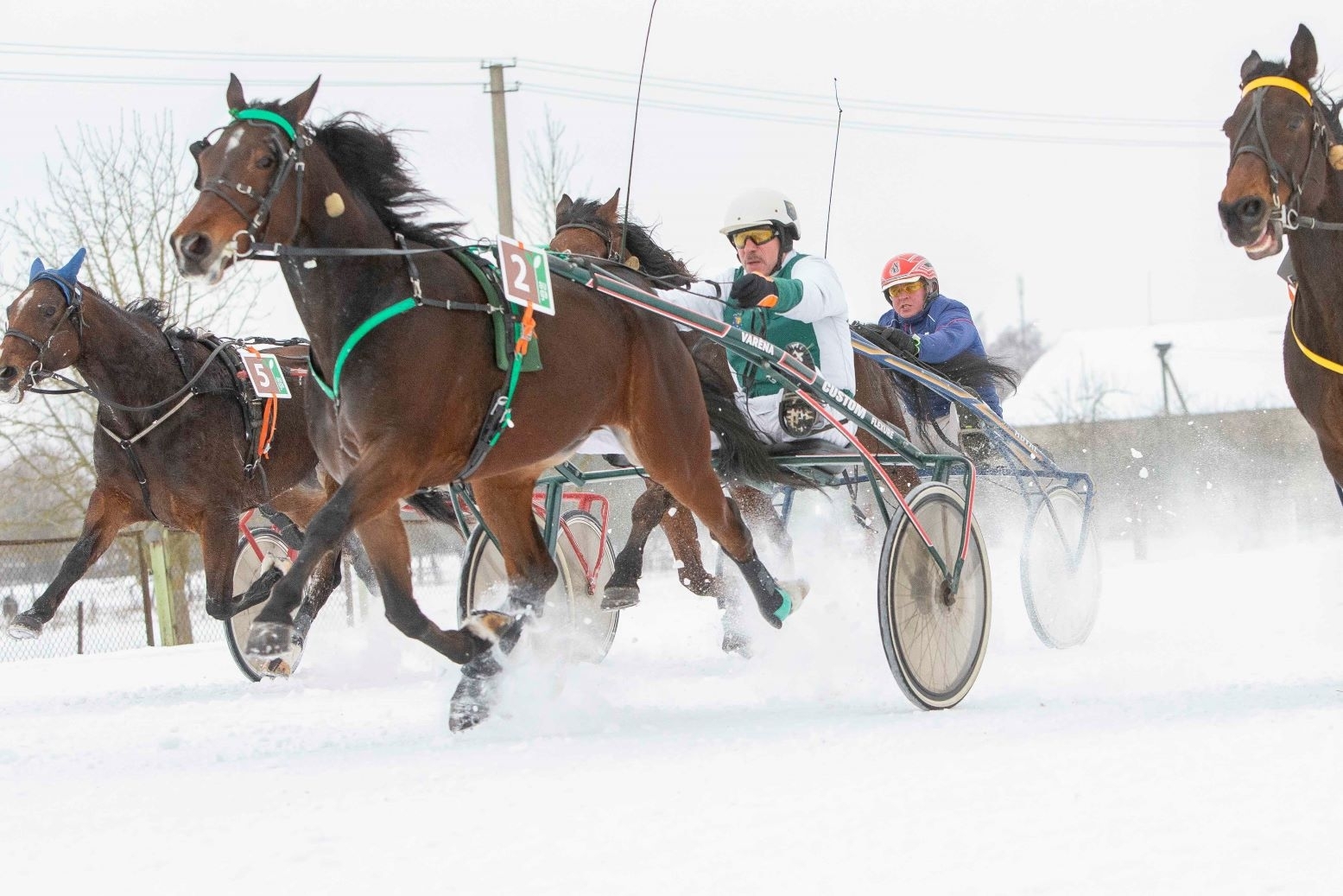 Įvyko pirmosios žiemos sezono ristūnų žirgų lenktynės (nuotraukų galerija)