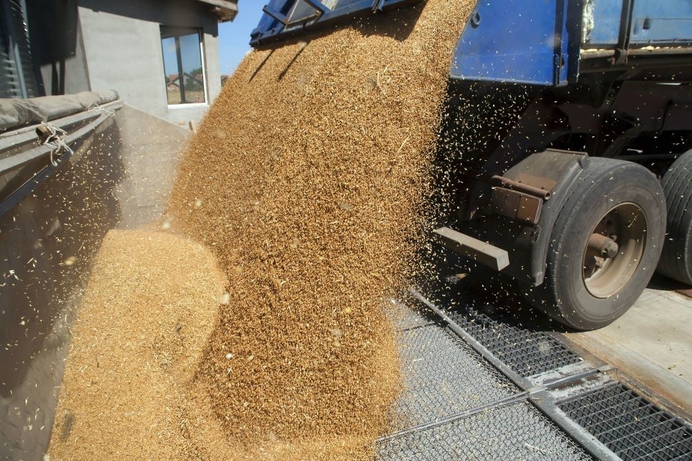 ES prekybos žemės ūkio maisto produktais balansas išlieka didesnis nei praėjusiais metais