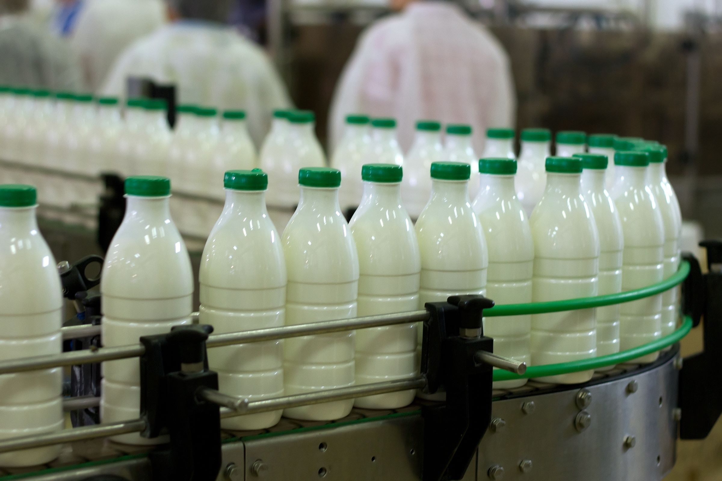 Balandis: vidutinės pieno supirkimo kainos ir supirktas pienas