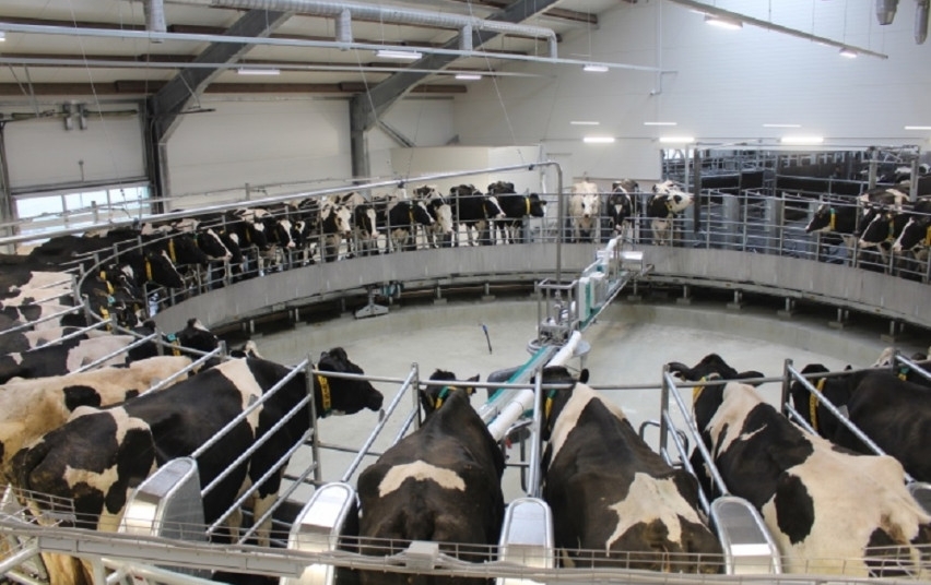 Pienininkystės ūkiai aktyviai siekia pasinaudoti ES parama