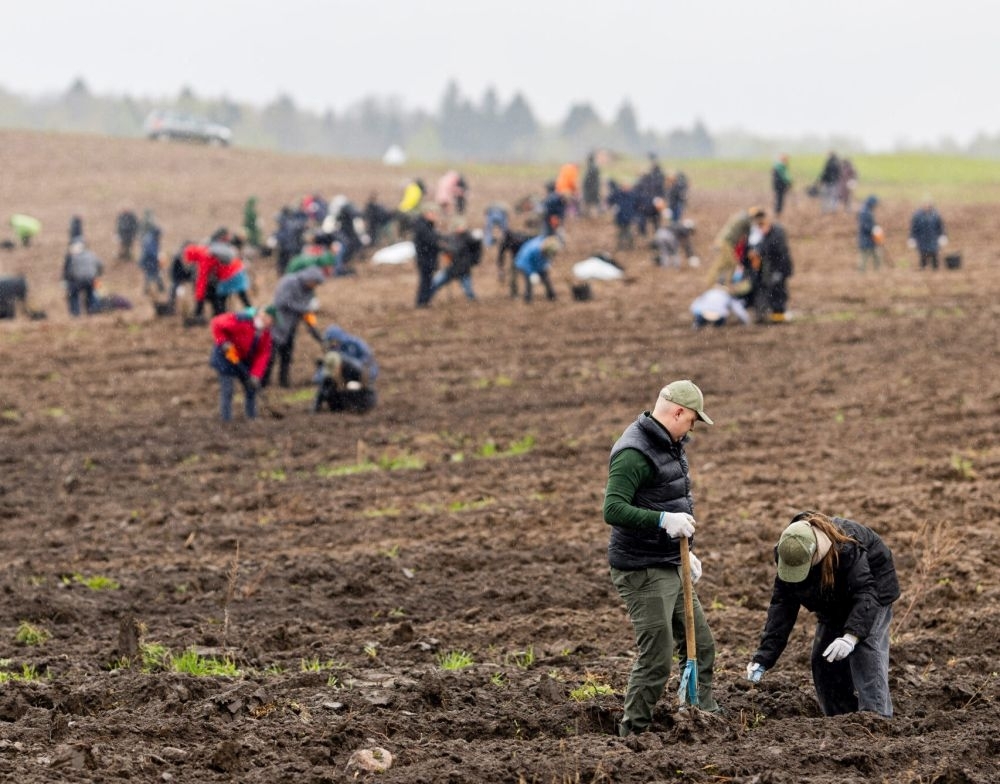 Dalyvių rekordas: nacionalinio miškasodžio metu pasodinta per 100 girių