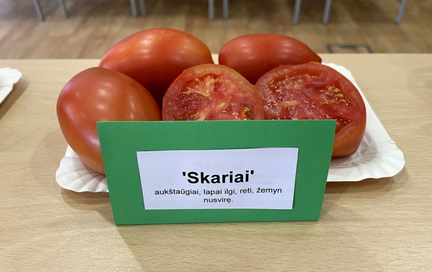 Valstybinėje miškų tarnyboje vyko pomidorų degustacija 