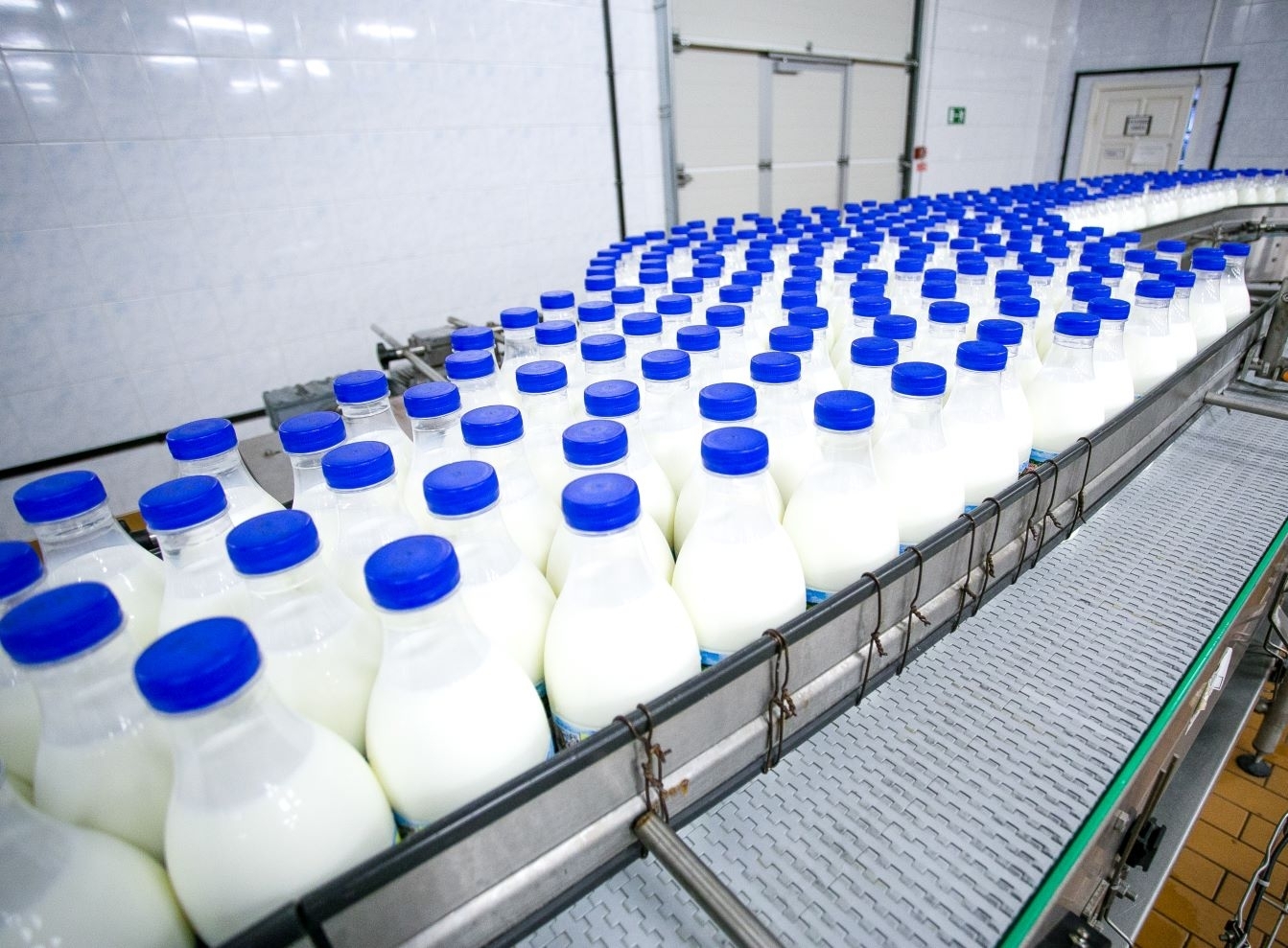 Latvija pieno produktų gamybą 2023-aisiais padidino 24 proc.