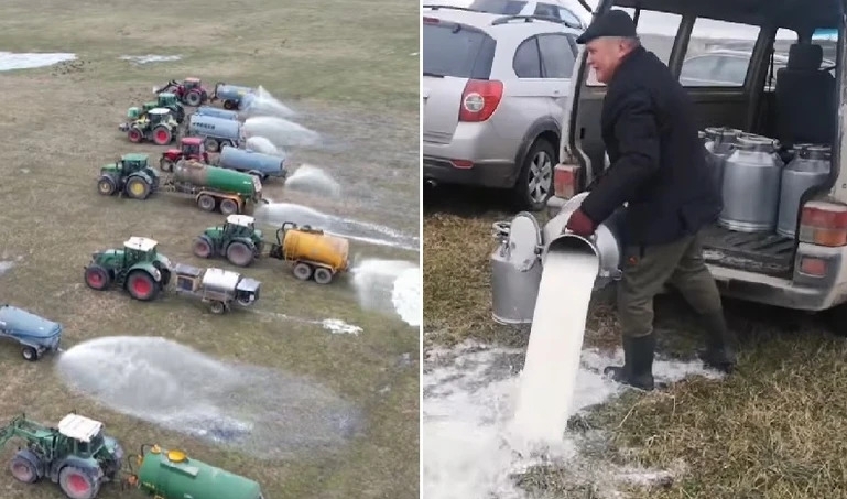 Lietuvos pieno gamintojų protesto akciją aptarinėjo Lenkijos ūkininkai