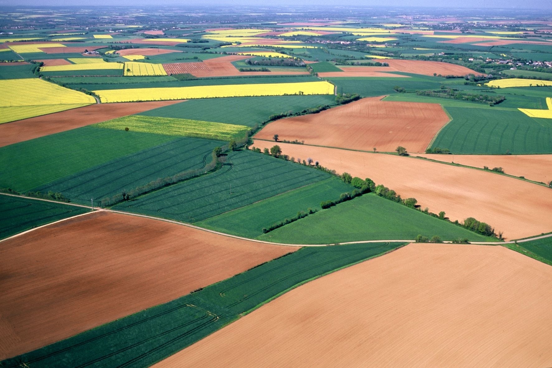 Beveik 4 000 žemės naudojimo patikrinimų