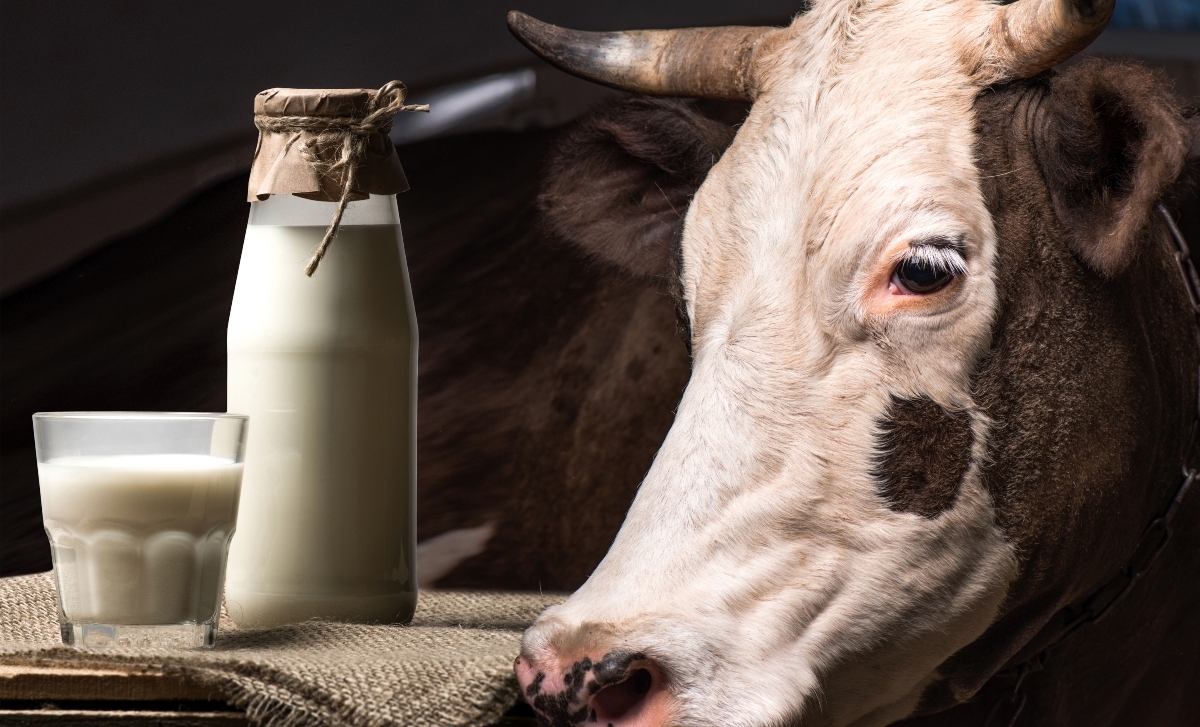 Pieno perdirbėjų savivalė  kelia vis didesnę įtampą