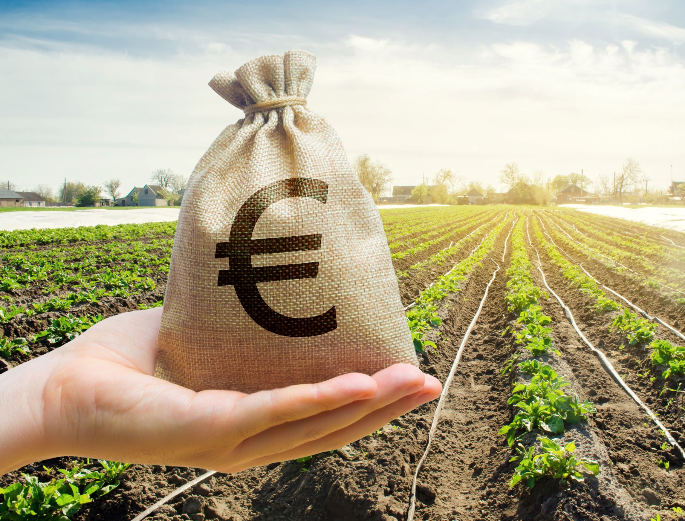 Artėja sprendimas dėl garsiųjų eurų už hektarą