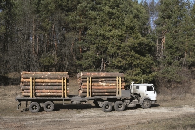 Miško savininkams kelių remontą kompensuos ES fondai