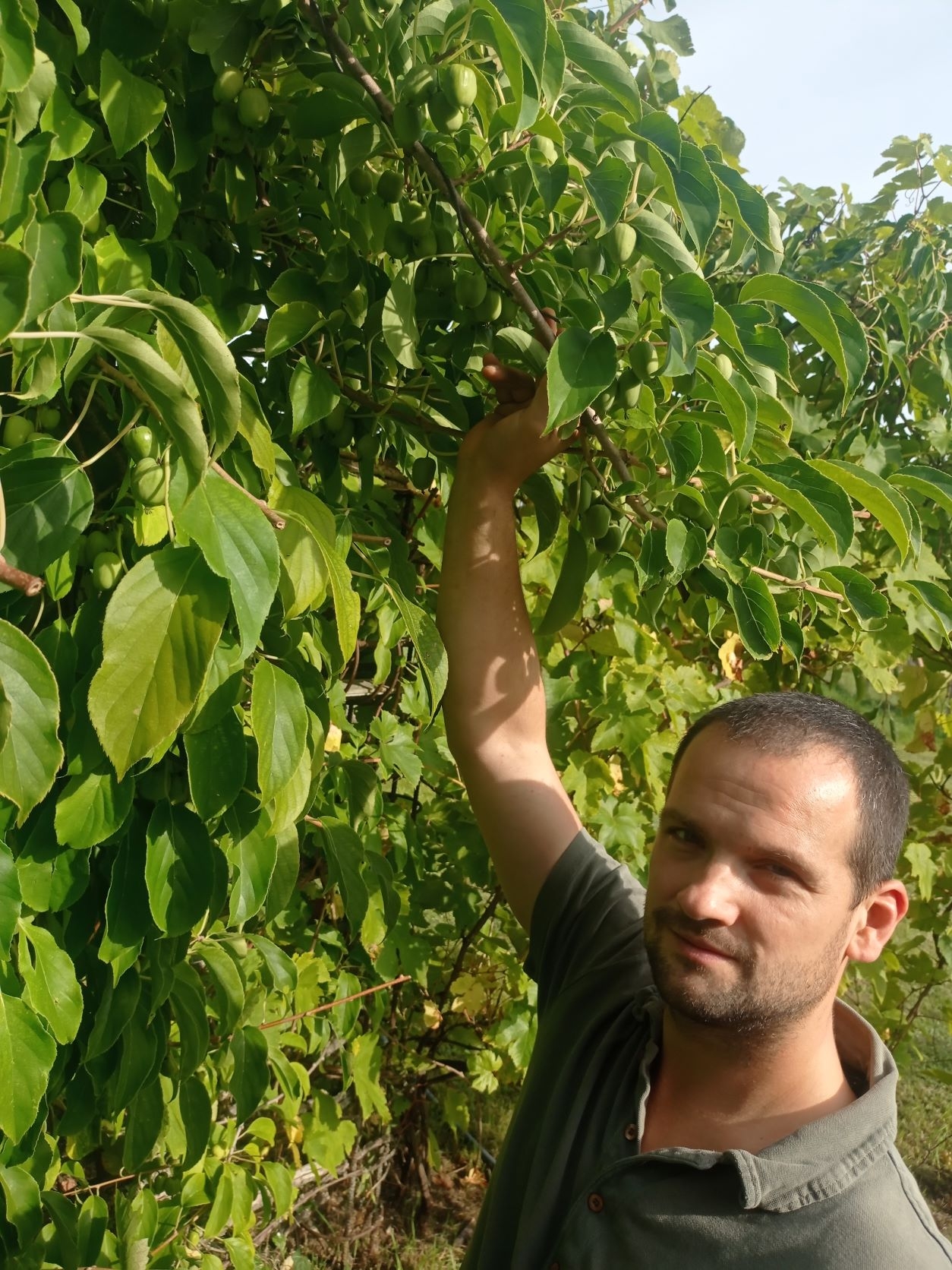 Vitamino C bomba galbūt sprogs ateityje