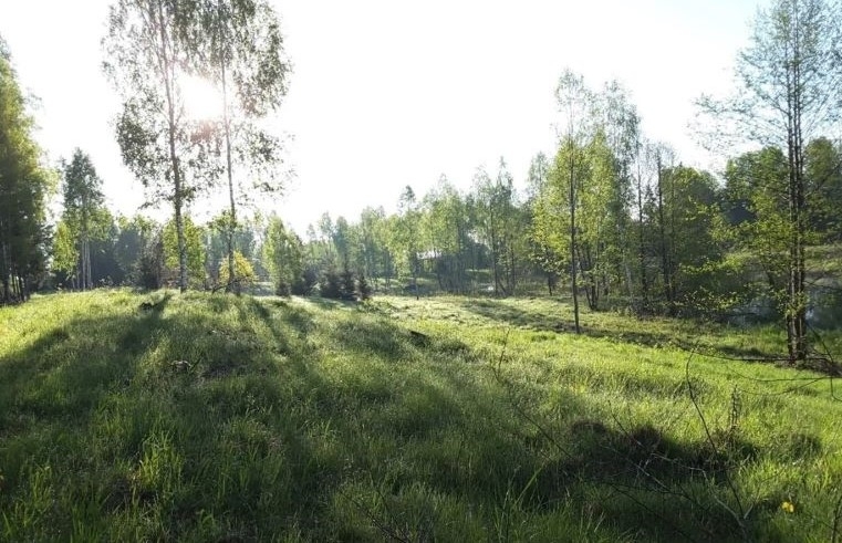 Atnaujintas apleistų žemių erdvinių duomenų rinkinys