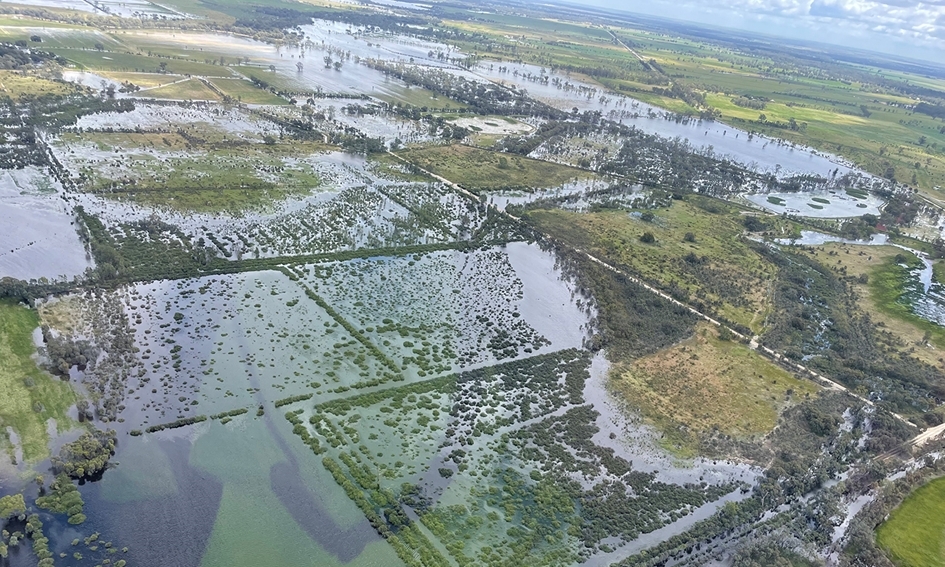 Siaubą kelia ne potvyniai, o valdininkų savivalė