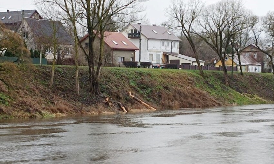 Bebrai verčia medžius jau net ir Kėdainių senamiestyje